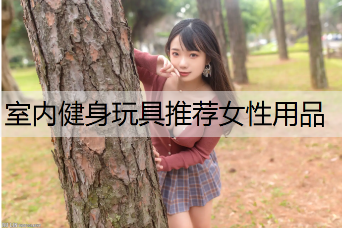 室内健身玩具推荐女性用品