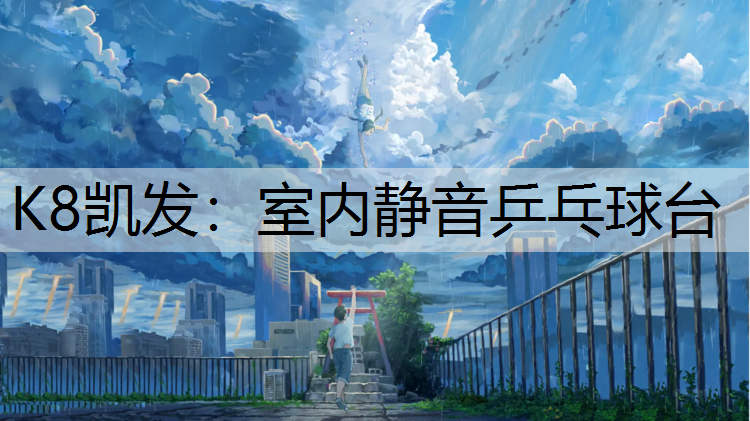 K8凯发：室内静音乒乓球台