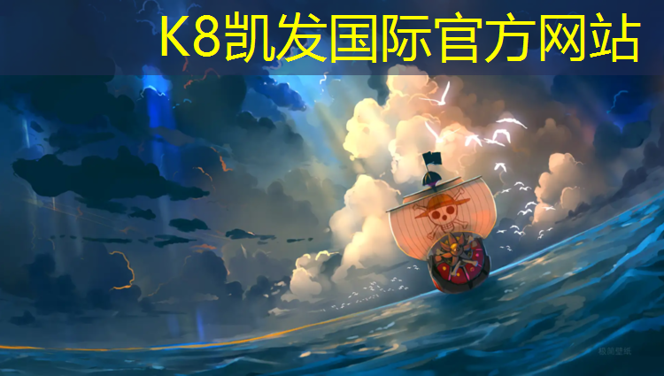 K8凯发中国官方网站：跆拳道馆护具免责声明