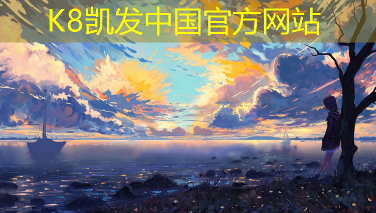 K8凯发天生赢家一触即发：网球网上边的白布叫什么布
