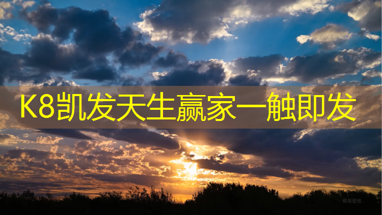 K8凯发中国官方网站：武威塑胶跑道原料价格多少