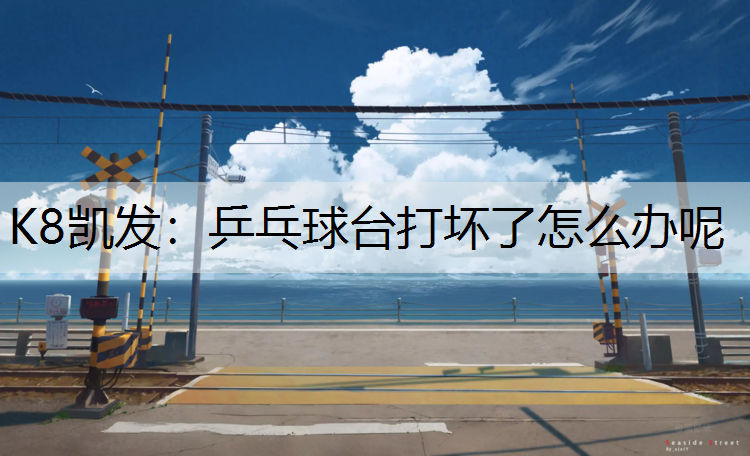 乒乓球台打坏了怎么办呢
