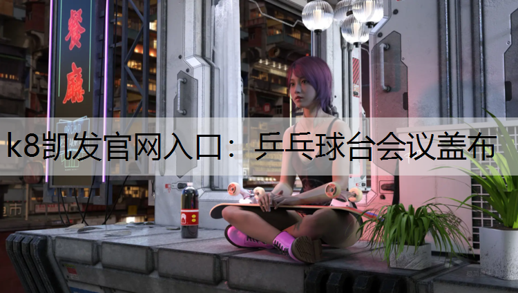乒乓球台会议盖布