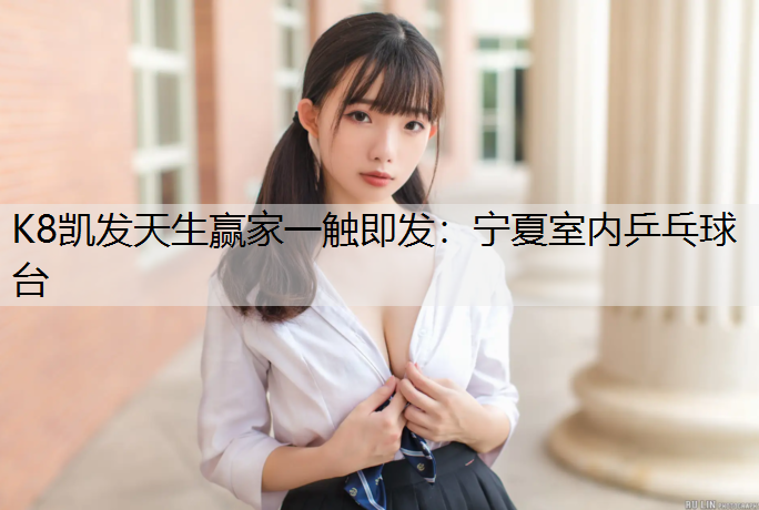 宁夏室内乒乓球台